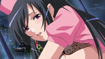 Tokyo sweetie moans during the drilling - hentai porn