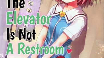 Komeiji Satori no Elevator wa Toilet ja Arimasen by "Kiira" - Read hentai Doujinshi online for free at Cartoon Porn