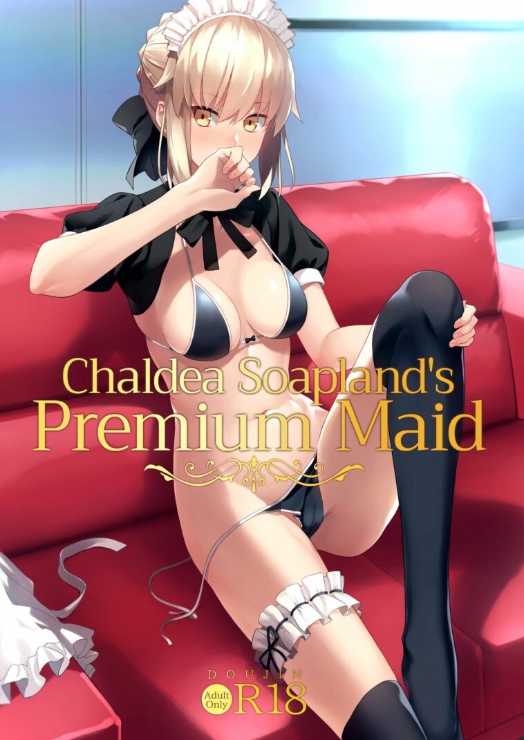 Chaldea Soap SSS-kyuu Gohoushi Maid - Colorized by "Prime" - #193069 - Read hentai Doujinshi online for free at Cartoon Porn