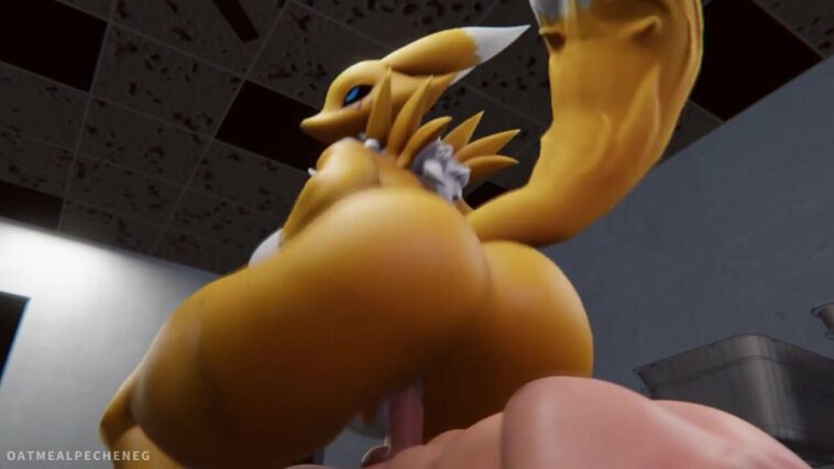 Sexy Digimon MILF Renamon caught on cam in laundry