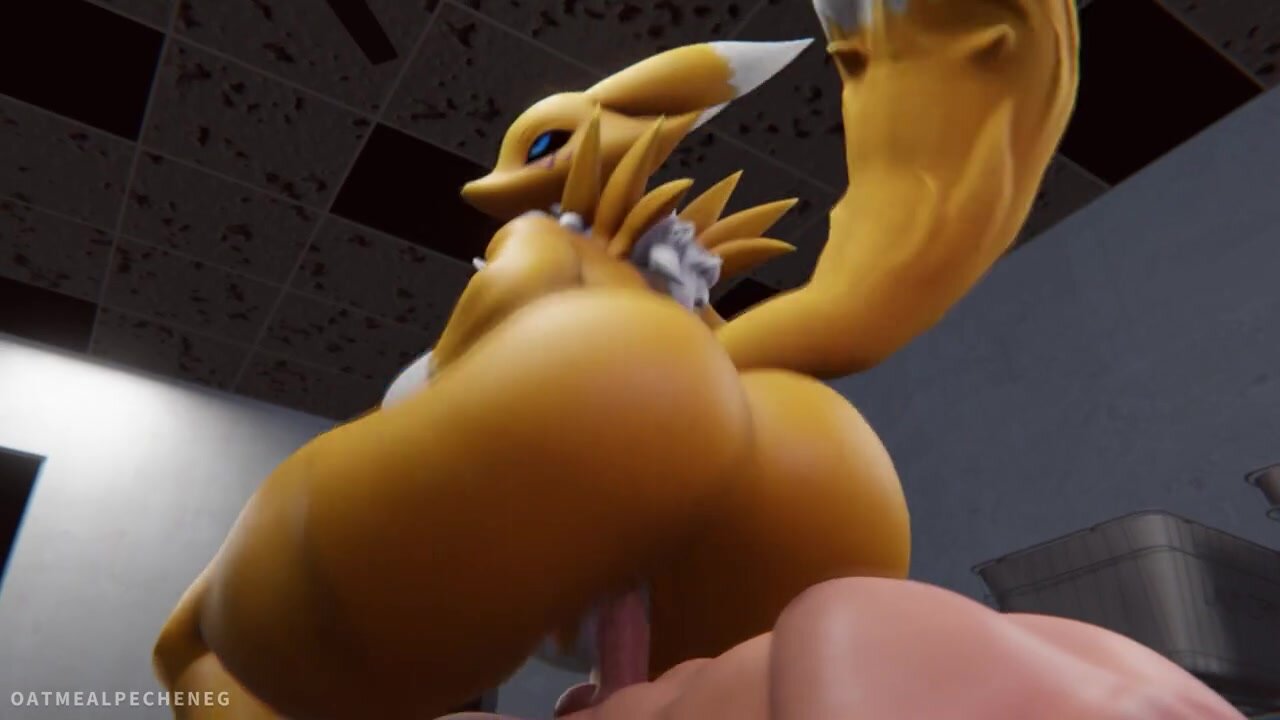 Sexy Digimon MILF Renamon caught on cam in laundry